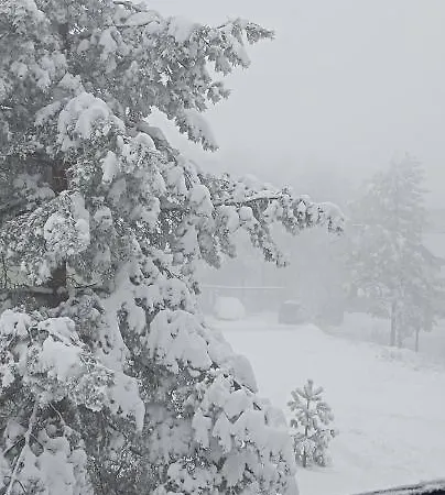 Rankovic * Divčibare