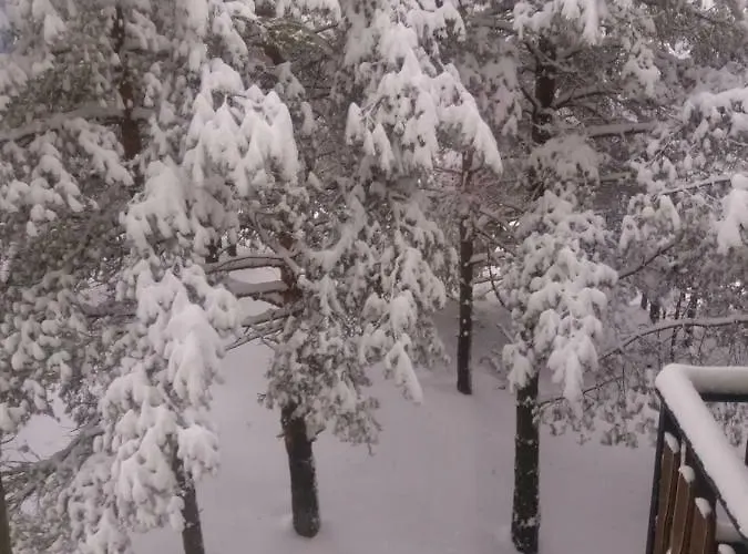 Rankovic Apartman Divcibare